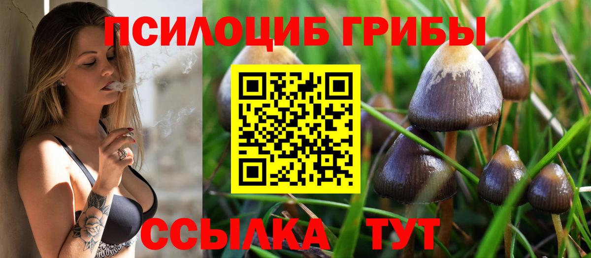 Россошь  Галлюциногенные грибы мицелий  Вход с VPN  Псилоцибиновые грибы прущие грибы 